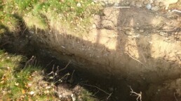 Meyrin-Bergere-1
