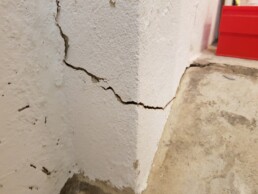Liseron-SEM-3