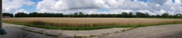 Micarna-2