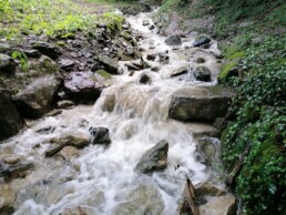 13385-1-Lutry-Flonzel-2