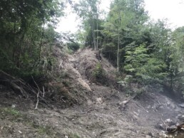 10922-4-Lutry-En-Vaux2