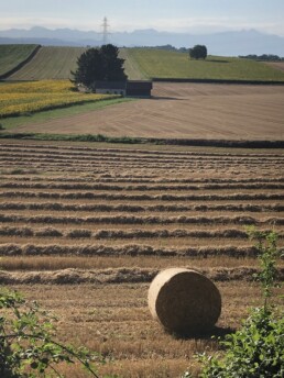 15648-Romanel-1