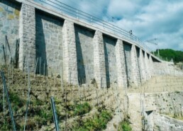 8413-6_14473-3_Grandvaux-Puidoux_photo_1vf