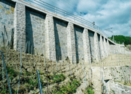 8413-6_14473-3_Grandvaux-Puidoux_photo_1