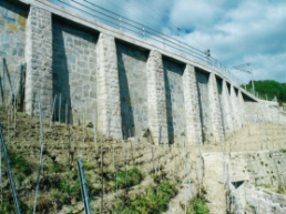 8413-6_14473-3_Grandvaux-Puidoux_photo_1