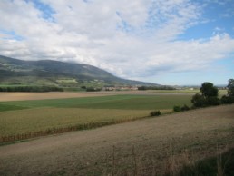 IMG_9131 - Copie