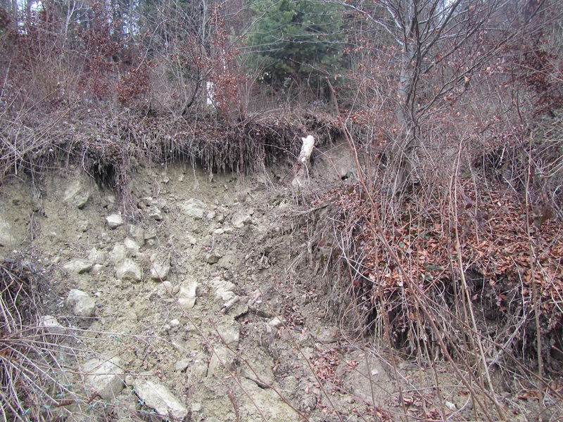 Pully_RC773_Expertise_glissement_terrain_1