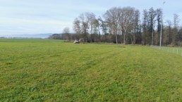 Image 2 photo - Copie