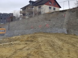 20251204_110306 (ID 424906)