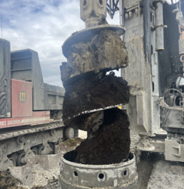 IMG_7291 rogn&eacute;e